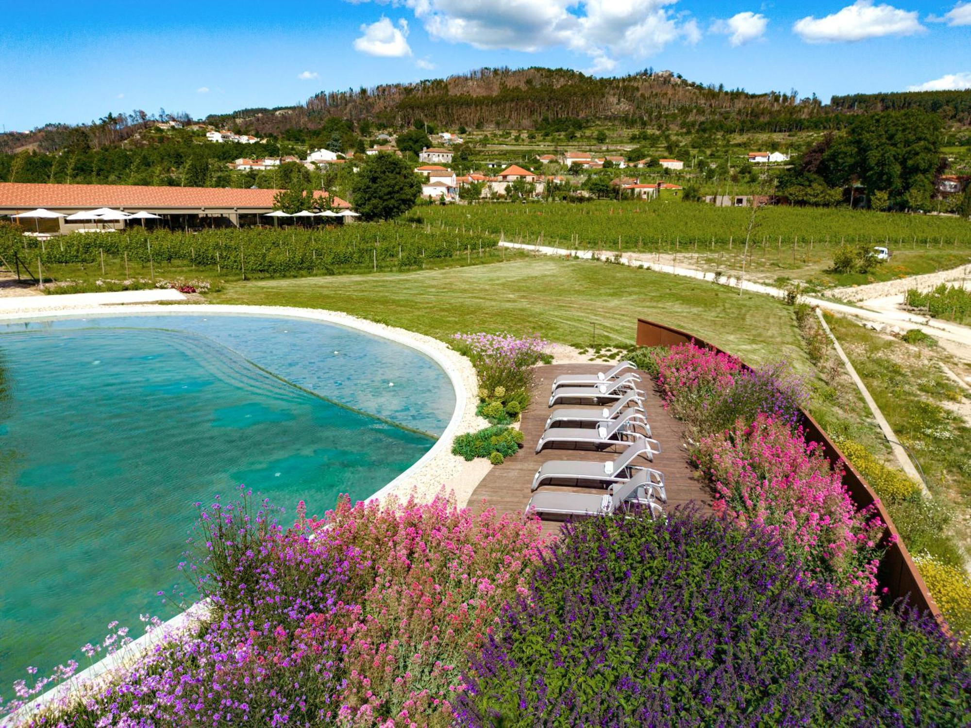 Lavandeira Douro Nature & Wellness Ancede Exteriör bild